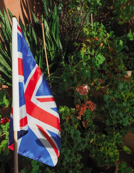 National Flag United Kingdom Aka Union Jack House Plants — Stock Photo, Image