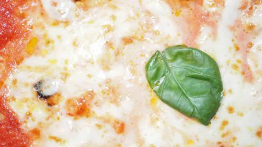 Pizza margherita dokusu arka plan olarak kullanışlı