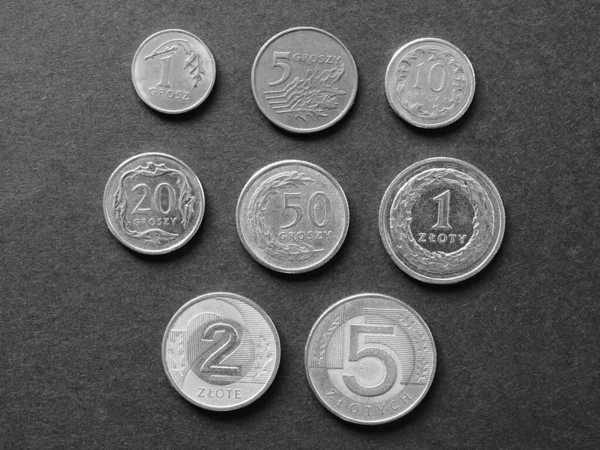 Monnaie Zloty Polonaise Pln Monnaie Pologne Noir Blanc — Photo