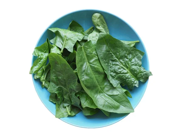 Spinach Leaves Scientific Name Spinacia Oleracea Vegetables Vegetarian Food Dish — Stock Photo, Image