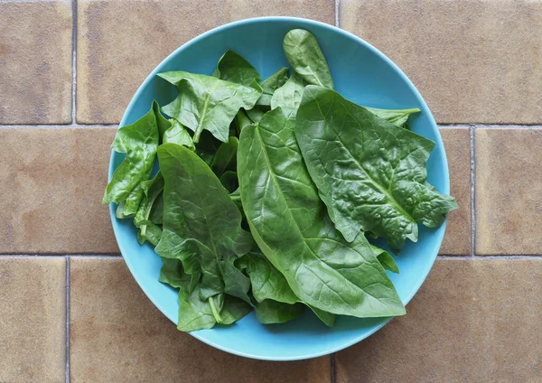 Espinacas Nombre Científico Spinacia Oleracea Verduras Comida Vegetariana — Foto de Stock