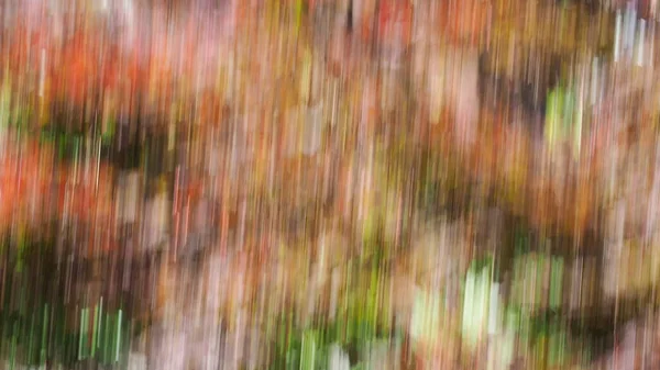 soyut kırmızı ve yeşil yapraklar arka plan olarak kullanışlı hareket bulanıklığı