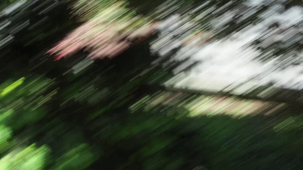 Abstract Groen Bladeren Beweging Vervaging Nuttig Als Achtergrond — Stockfoto