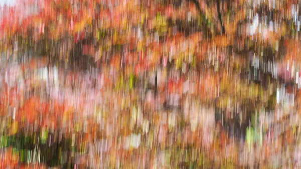 Abstract Red Green Leaves Motion Blur Useful Background — Stock Photo, Image