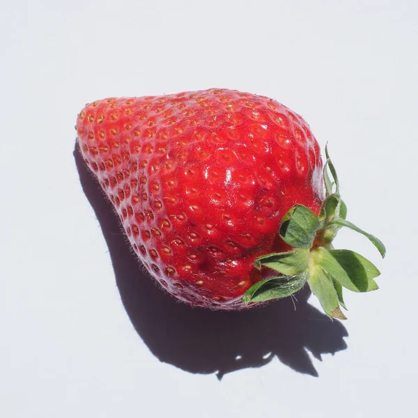 Fraise Sur Fond Blanc Avec Ombre — Photo