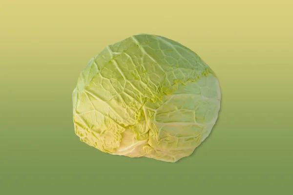 Green Cabbage Matching Colour Gradient Background — Stock Photo, Image