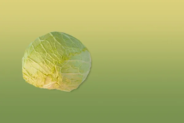 Green Cabbage Matching Colour Gradient Background Copy Space — Stock Photo, Image