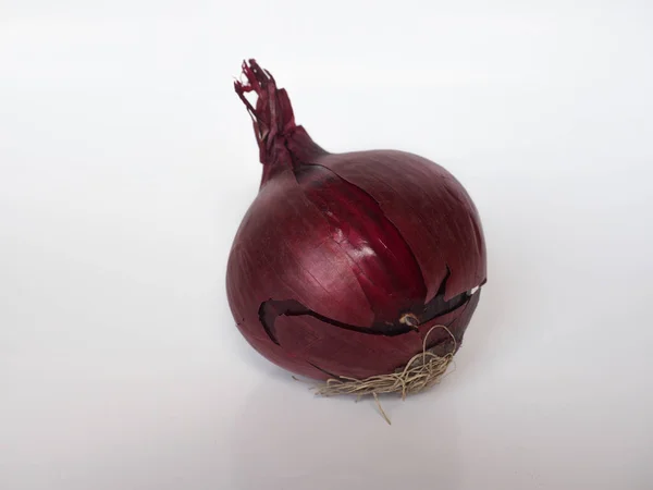 Красный Лук Научное Название Allium Cepa Лук Луковица Общий Лук — стоковое фото