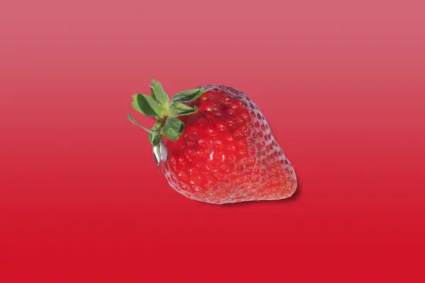 Fruta Fresa Roja Sobre Fondo Degradado Color Juego Con Espacio — Foto de Stock