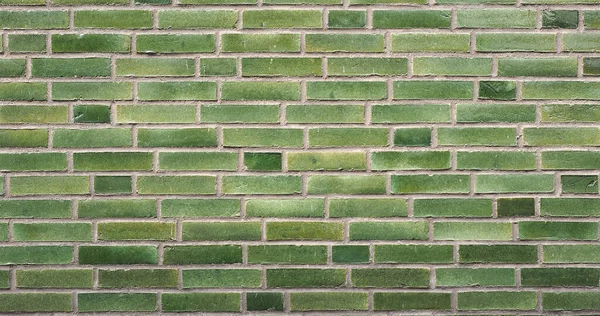 Breite Grüne Backsteinwand Nützlich Als Hintergrund — Stockfoto