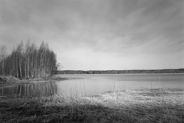 Финское Озеро Березами Хельсинки — стоковое фото