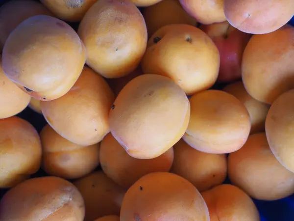 Orange Aprikose Wissenschaftlicher Name Prunus Armeniaca Vegetarische Fruchtnahrung — Stockfoto