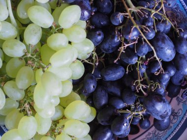 beyaz ve kırmızı üzüm (bilimsel adı Vitis vinifera) vejetaryen meyve yiyeceği