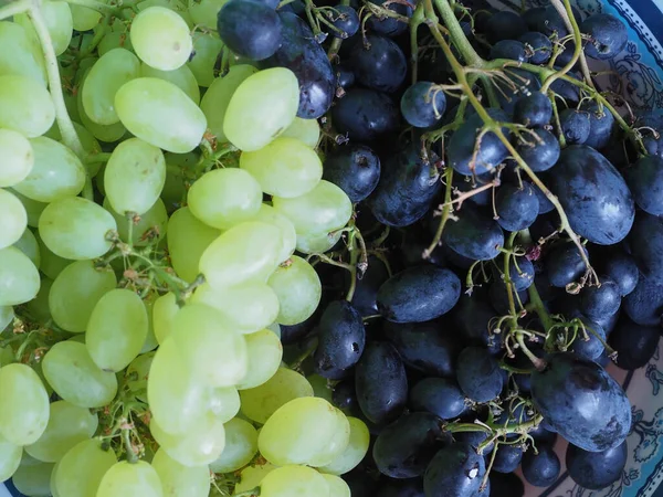 beyaz ve kırmızı üzüm (bilimsel adı Vitis vinifera) vejetaryen meyve yiyeceği