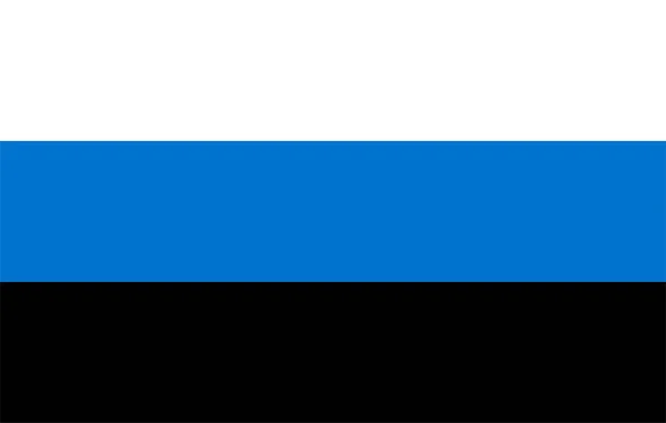 Drapeau National Estonien Estonie Europe — Photo