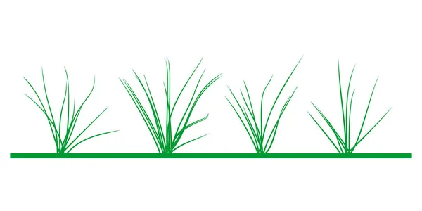 Meadow Illustration Four Different Grass Plants — 图库照片