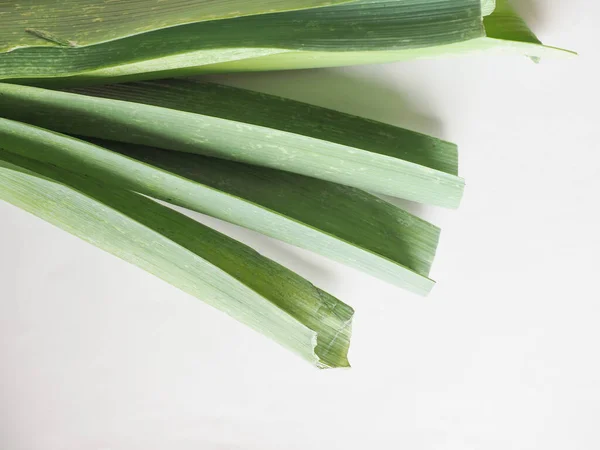 Bladeren Van Een Preiplant Een Witte Achtergrond — Stockfoto