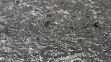 Yağmur suyu arkaplanı