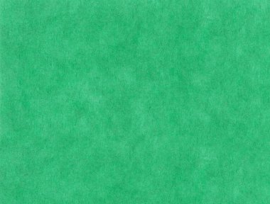 arkaplan olarak kullanışlı yeşil karton desen