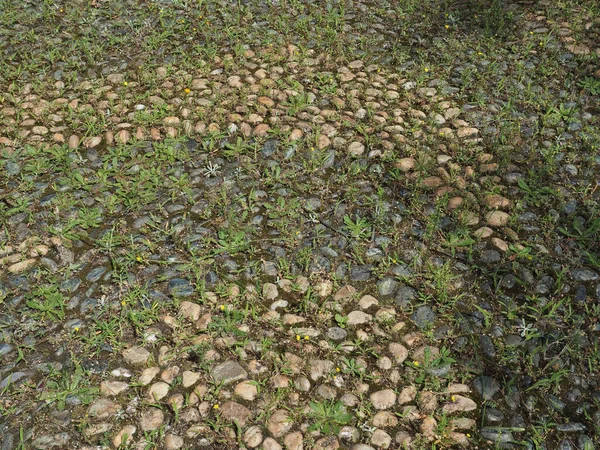 Pebble Floor Grass Useful Background — Stock Photo, Image