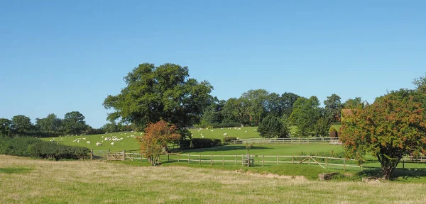 Campo Inglês Tanworth Arden Warwickshire Reino Unido — Fotografia de Stock