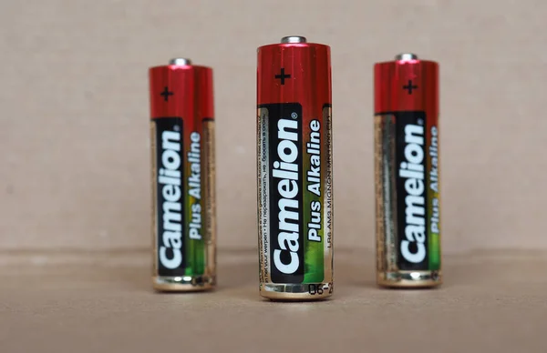 Shenzhen China Circa August 2021 Camelion Aaa Batteries — 图库照片