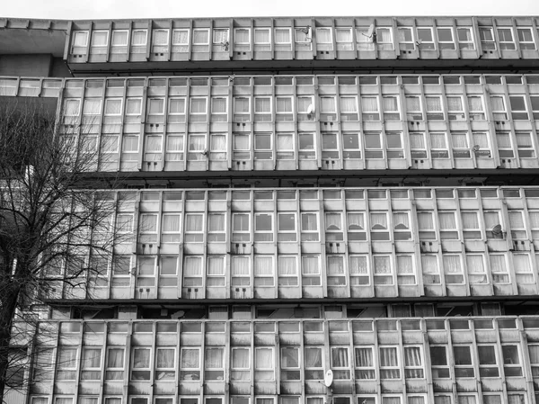 黒と白のロビン ・ フッド ガーデンズ ロンドン — ストック写真