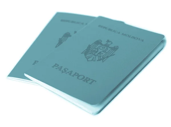 Foto passaporte — Fotografia de Stock