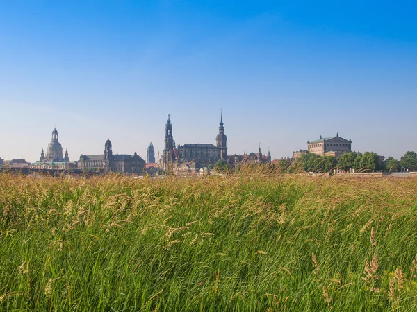 Dresden Hofkirche — Stock Photo, Image