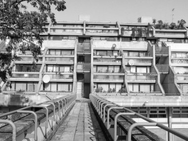 siyah-beyaz alexandra road Londra