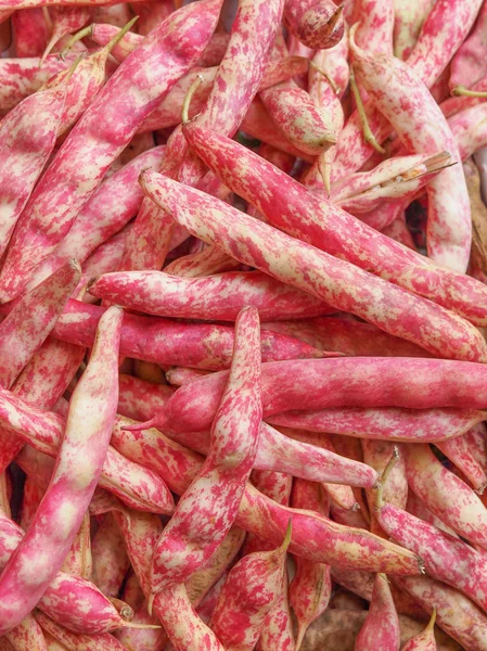 Cranberry beans — Stock Photo, Image