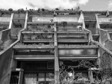 siyah-beyaz alexandra road Londra