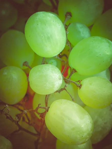 复古外观葡萄 — 图库照片
