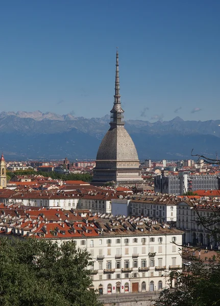 Vue sur Turin — Photo