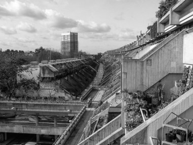 siyah-beyaz alexandra road Londra