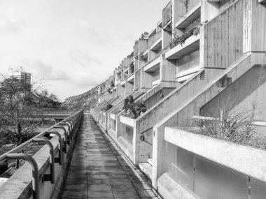 siyah-beyaz alexandra road Londra