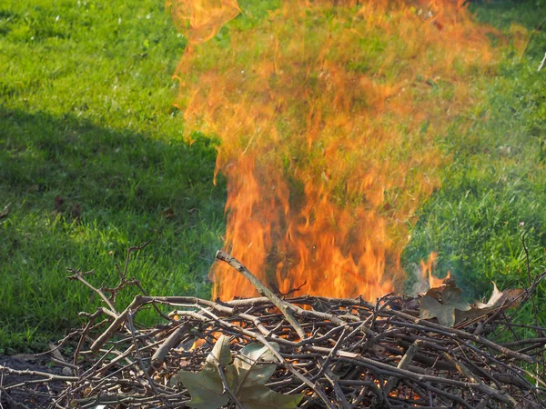 Fuoco ardente — Foto Stock