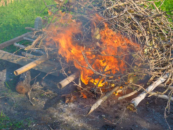 Fuoco ardente — Foto Stock