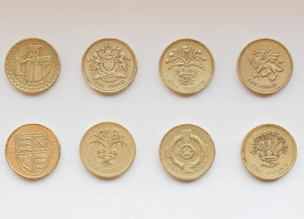 Moneda de Libra — Foto de Stock