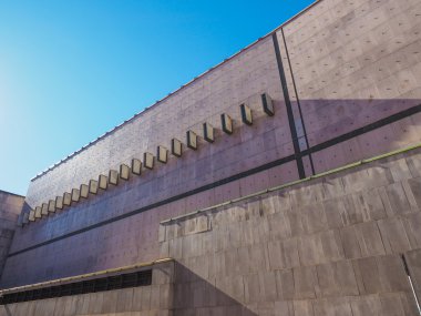 Rai verdi turin yoluyla