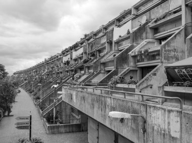 siyah-beyaz alexandra road Londra