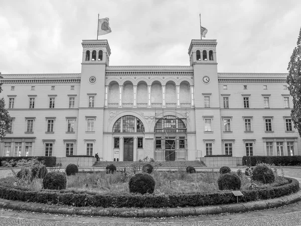 Czarno-białe hamburger bahnhof w Berlinie — Zdjęcie stockowe