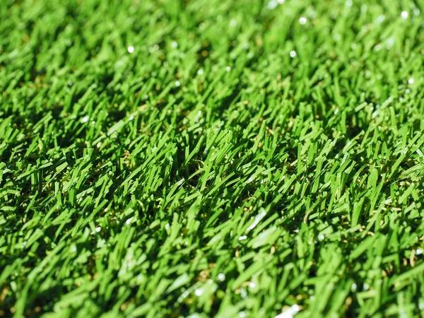 Artificial grass — Stock Photo, Image