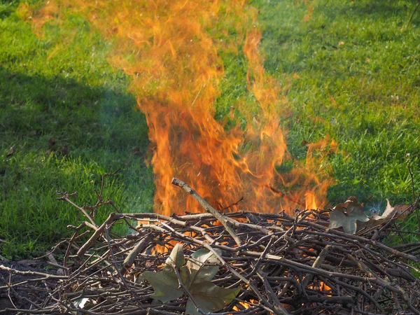 Burning fire — Stock Photo, Image