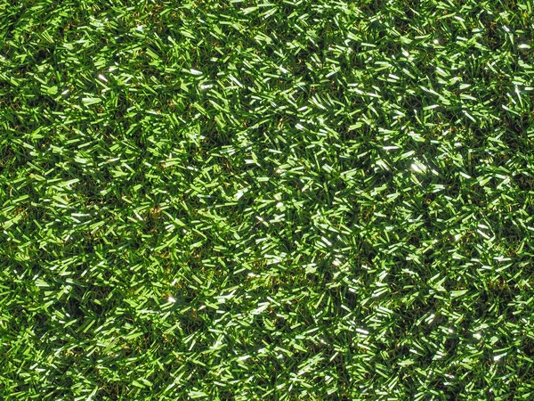 Artificial grass — Stock Photo, Image