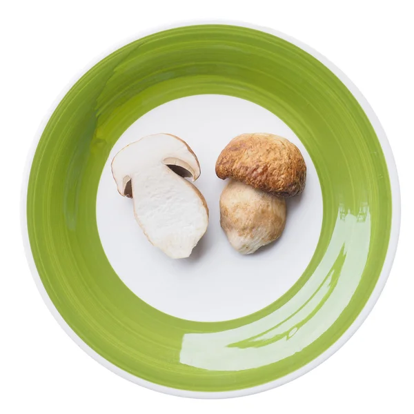 Porcini paddestoel — Stockfoto