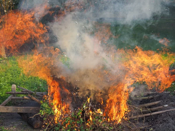 Fuoco ardente — Foto Stock