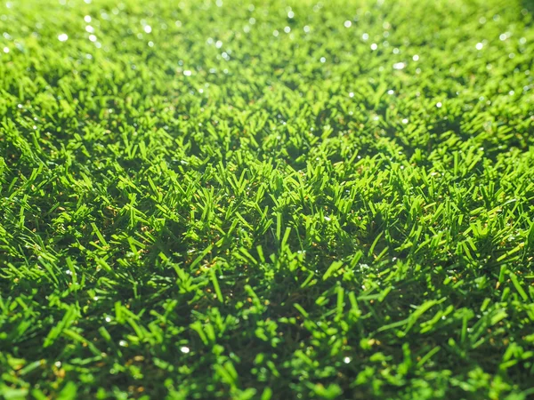 Artificial grass — Stock Photo, Image