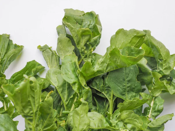 Salada de foguete — Fotografia de Stock