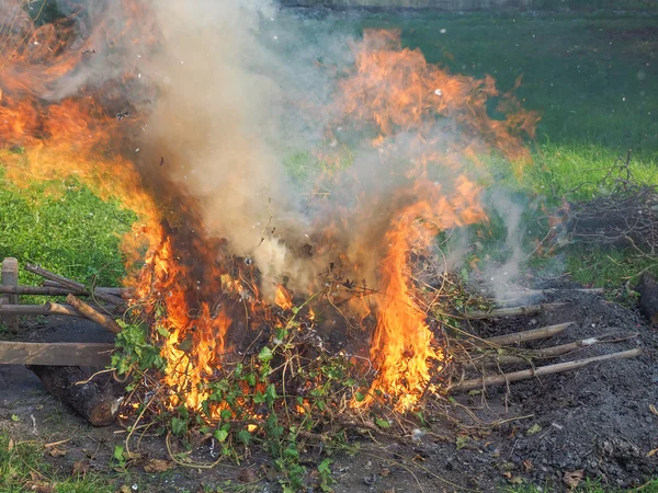 Brinnande eld — Stockfoto